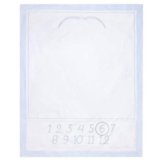 Boys Milestone Blanket